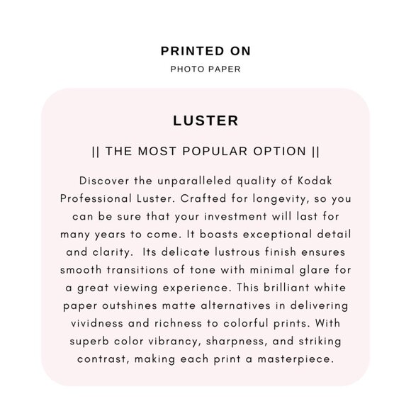 Majestic Theatre | 8x12 Unframed Photography Print | Black and White | wall art - Picture 7 of 8